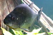 20230916_141939.jpg