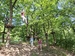 20260524_105003.jpg