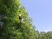 20260524_112658.jpg