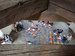 20260916_171506.jpg