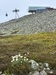 IMG_0639.JPEG