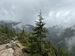 IMG_0708.JPEG