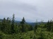 IMG_0732.jpeg