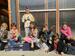 IMG-20231030-WA0015.jpg
