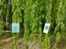 IMG-20240430-WA0014.jpg