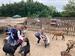 IMG-20240530-WA0011.jpg