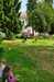 IMG-20240604-WA0050.jpg