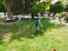 IMG-20240604-WA0063.jpg