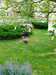 IMG-20240604-WA0101.jpg