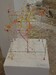 IMG-20250516-WA0005.jpg