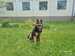 IMG-20250521-WA0006.jpg