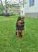 IMG-20250521-WA0012.jpg