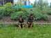 IMG-20250521-WA0015.jpg
