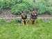 IMG-20250521-WA0016.jpg