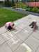 IMG-20250603-WA0004.jpg