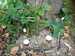 IMG-20250923-WA0005.jpg