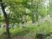 IMG-20251001-WA0013.jpg