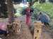 IMG-20251020-WA0008.jpg