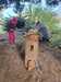 IMG-20251020-WA0009.jpg