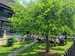 IMG-20260528-WA0032.jpg