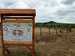 IMG-20260603-WA0003.jpg