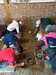IMG-20260603-WA0010.jpg