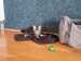 IMG-20260611-WA0013.jpg