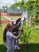 IMG-20260618-WA0039.jpg