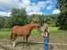 IMG-20260916-WA0000.jpg