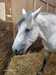 IMG-20260916-WA0003.jpg