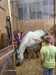IMG-20260916-WA0005.jpg