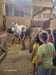 IMG-20260916-WA0007.jpg