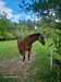 IMG-20260916-WA0008.jpg