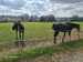 IMG-20260916-WA0011.jpg