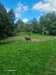 IMG-20260916-WA0016.jpg