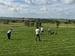 IMG_8856.jpeg