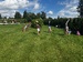 IMG_8871.jpeg