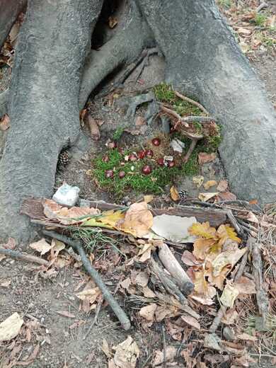 IMG-20250923-WA0003.jpg